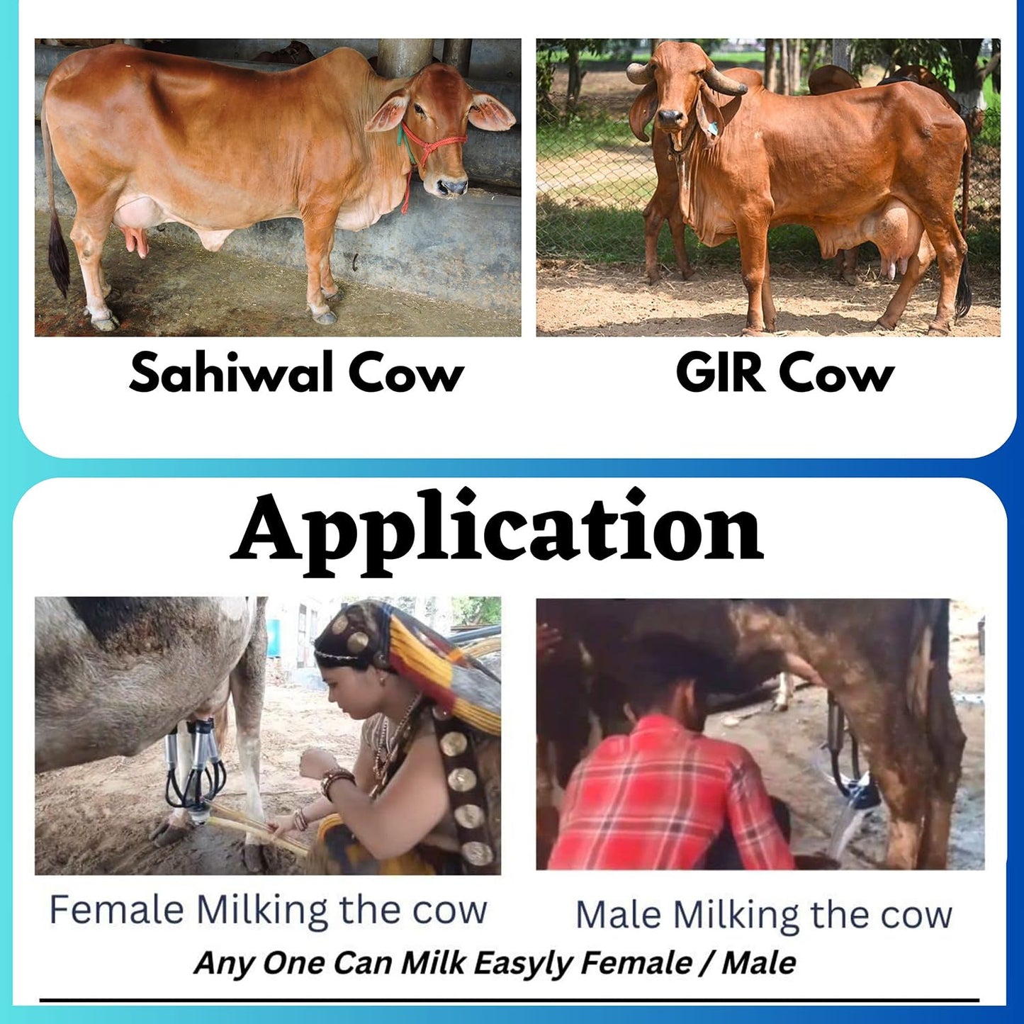 SWADESI KRAFTS 300LPM Buffalo & Cow Milking Machine for Cow Dairy with 1hp Motor (1 Cow Milking 4-5 Minutes) (Compatible with All Cow & Buffalos)