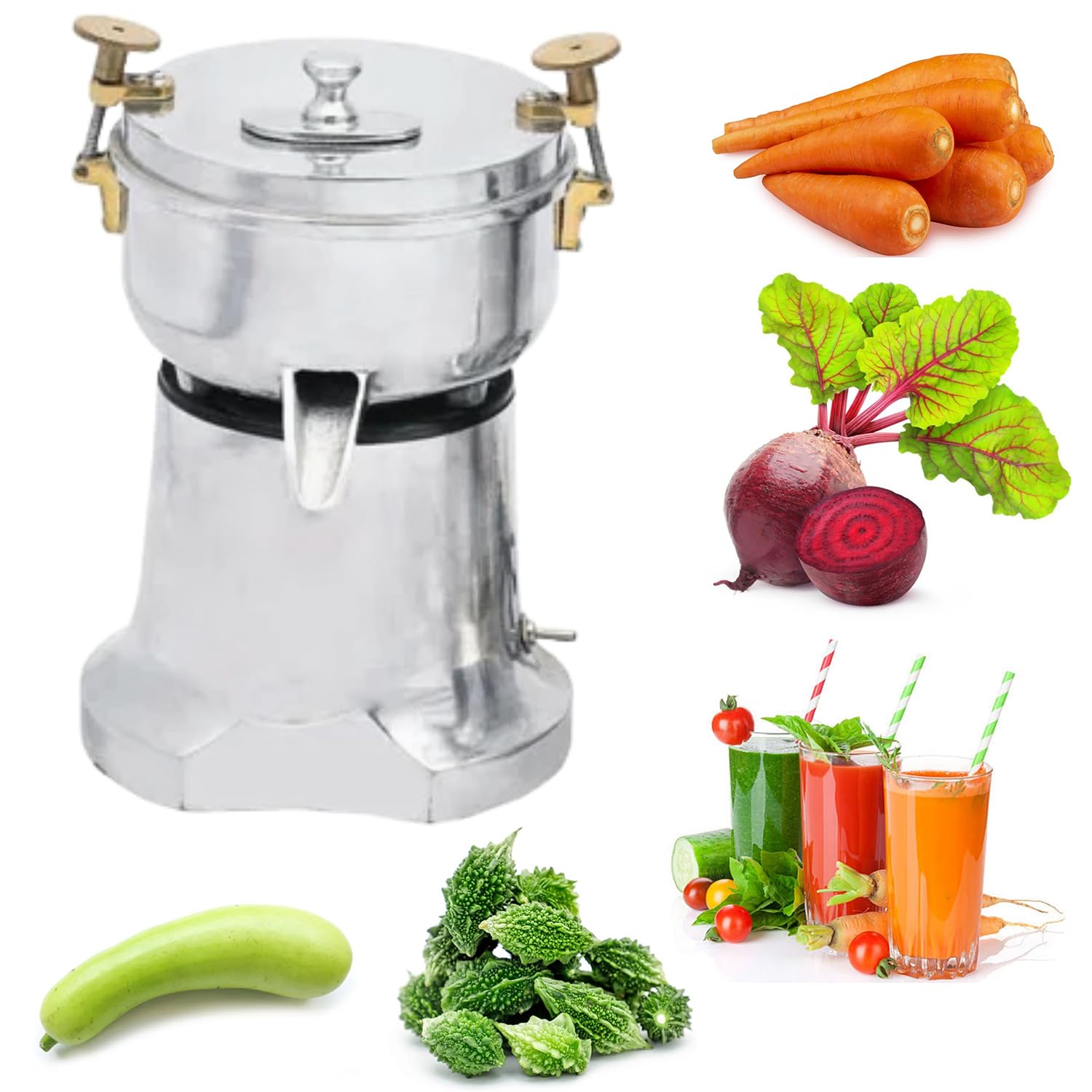 SWADESI KRAFTS Aluminium Carrot Juicer Machine Electric With 0.16 Hp M My Store