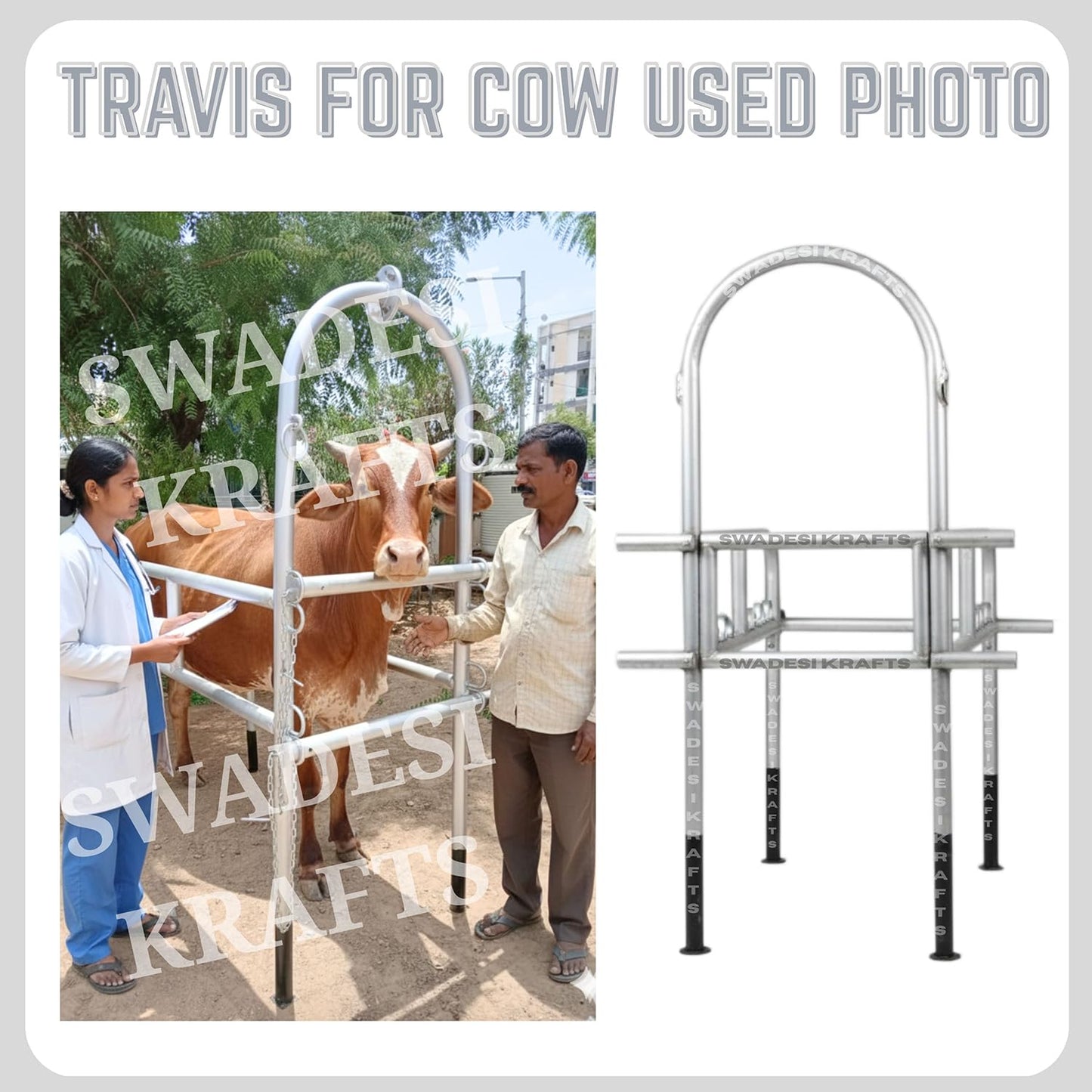 Cow Lifting Travis Heavy Duty | Animal Lifting Harness for Cow & Buffalo | Adjustable Steel Body Support for Veterinary & Dairy Farm Use