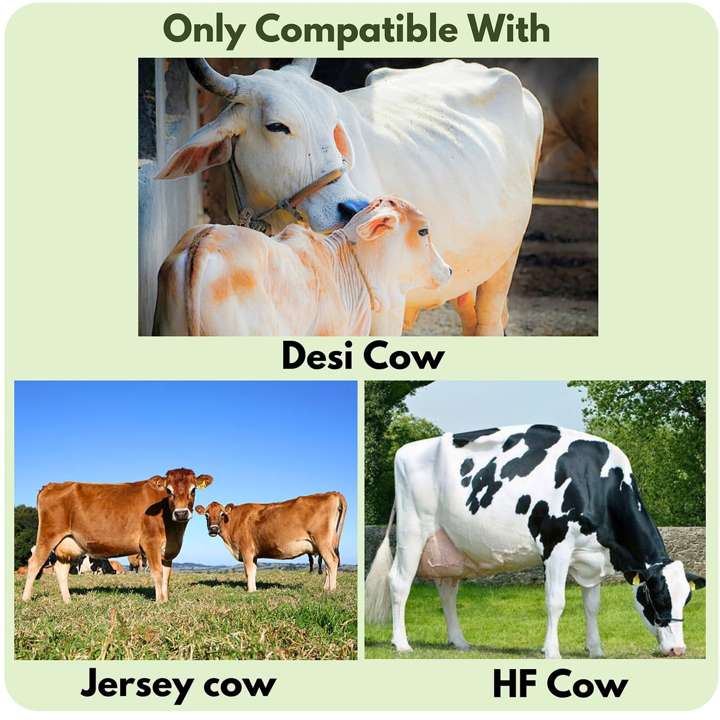 swadesi krafts Manual Rubber Cow Milking Machine For Cow Dairy (14.5 Ltr Bucket) (Compatible With Desi, Hf, Jersey Cow) (Non Compatible With Buffalo, Sahiwal, Kashmiri Cow) C6 - ?52L X 45W X 32.5H Cm