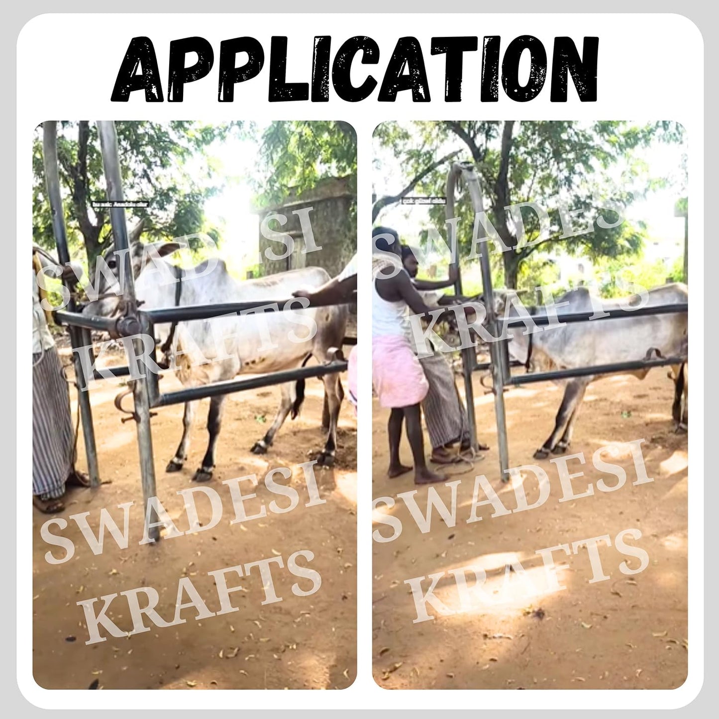 Cow Lifting Travis Heavy Duty | Animal Lifting Harness for Cow & Buffalo | Adjustable Steel Body Support for Veterinary & Dairy Farm Use