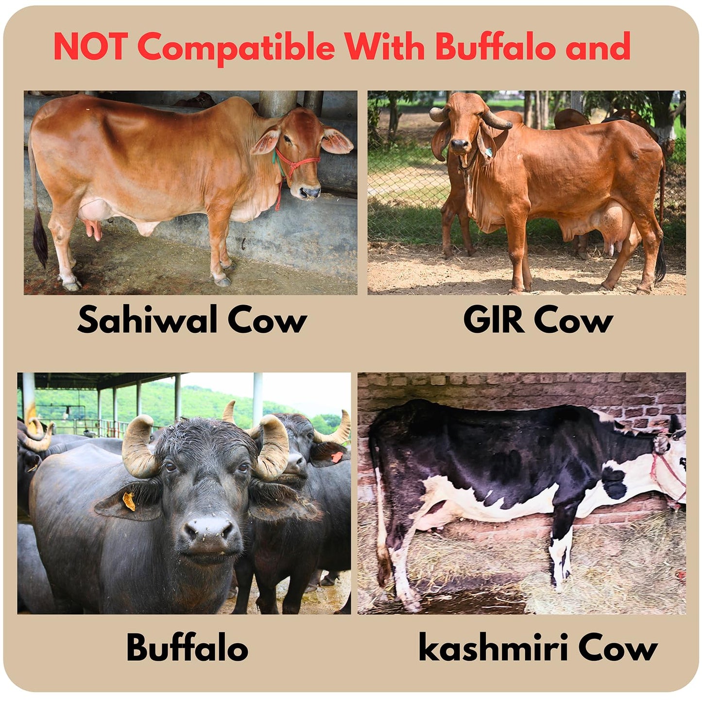 swadesi krafts Manual Rubber Cow Milking Machine For Cow Dairy (14.5 Ltr Bucket) (Compatible With Desi, Hf, Jersey Cow) (Non Compatible With Buffalo, Sahiwal, Kashmiri Cow) C6 - ?52L X 45W X 32.5H Cm